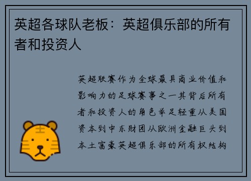 英超各球队老板：英超俱乐部的所有者和投资人